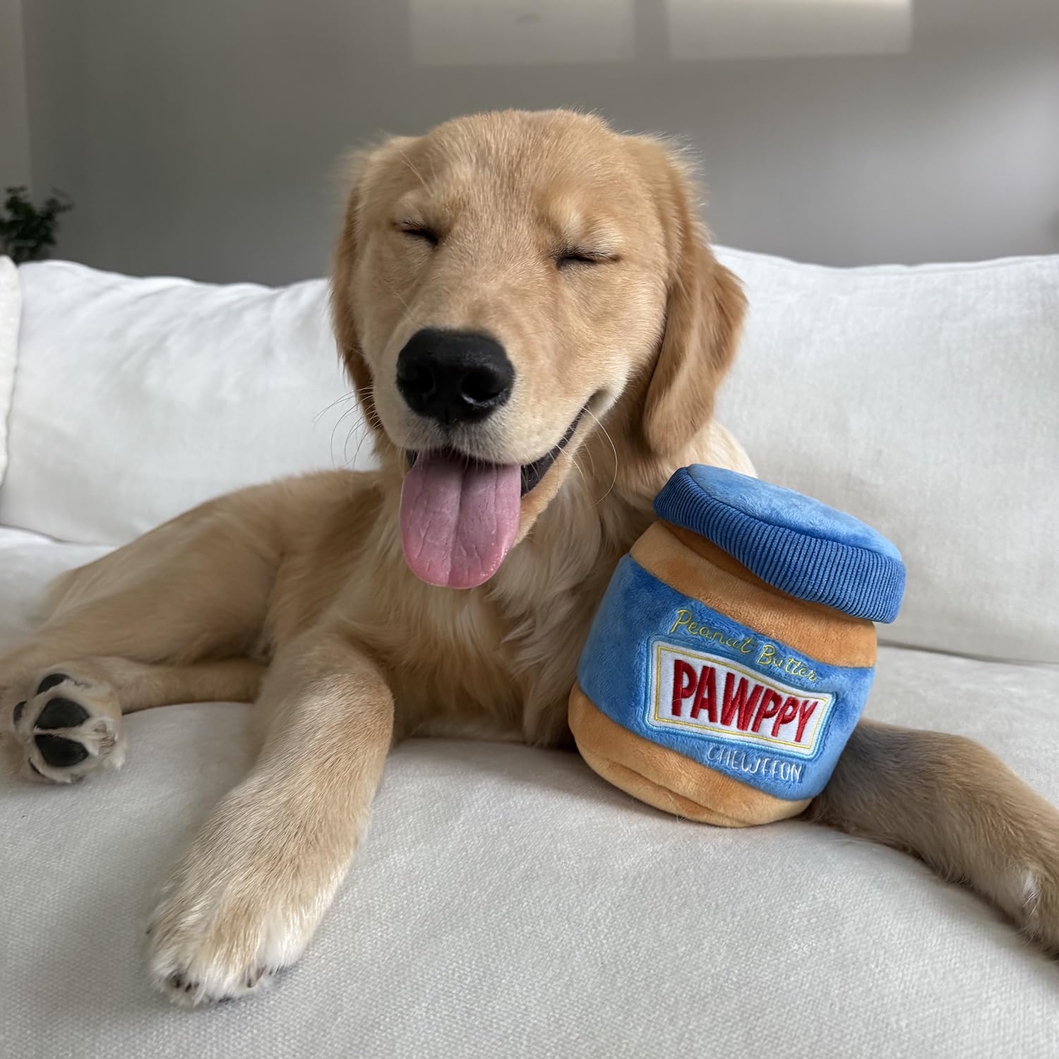 Chewffon Juguete con 4 bolsillos para premios.