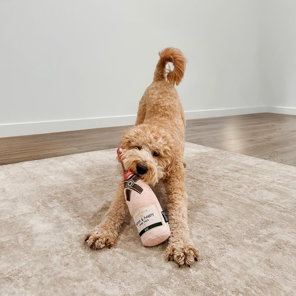 CHEWFFON juguete interactivo para razas diversas, fomenta juego y vínculo.