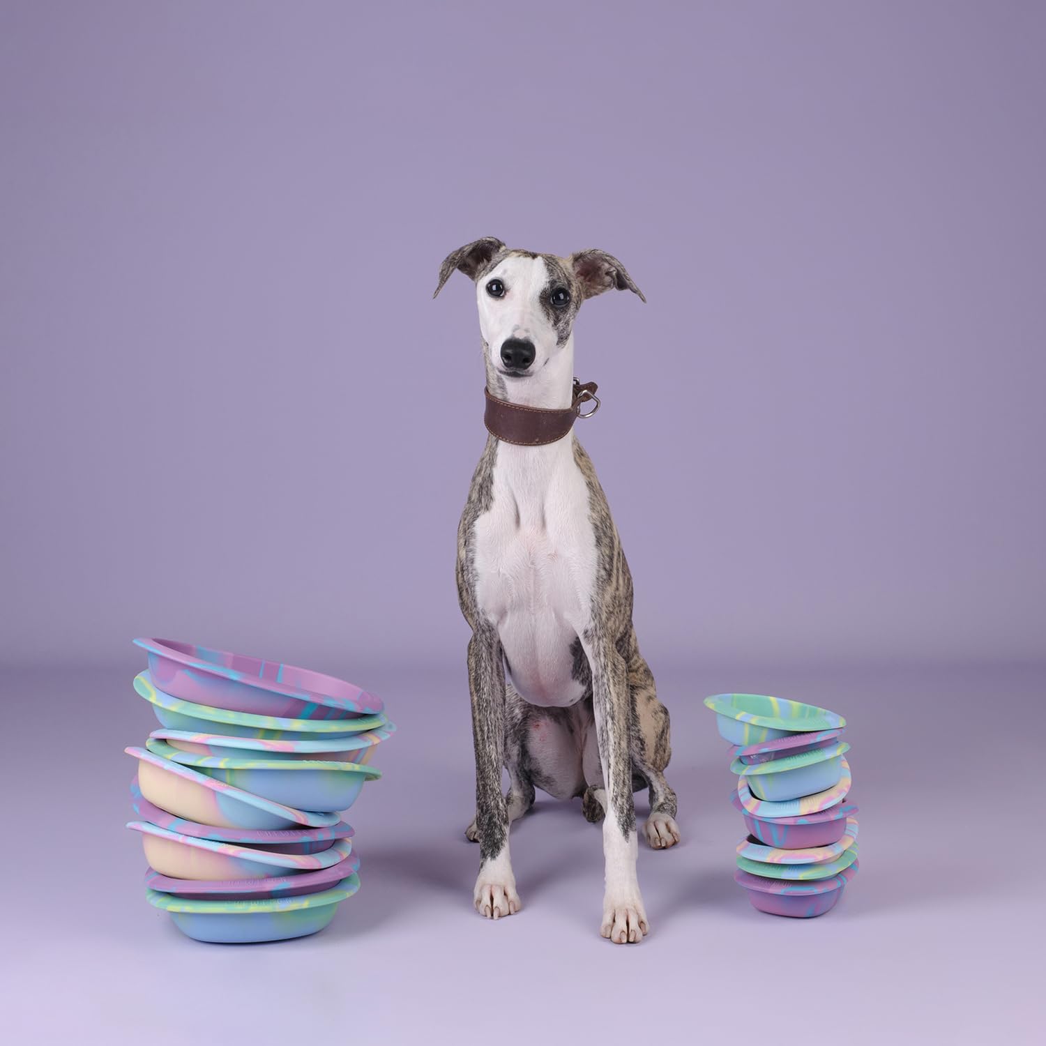 CHEWFFON lick mat bowl suitable for dogs and cats of all sizes.