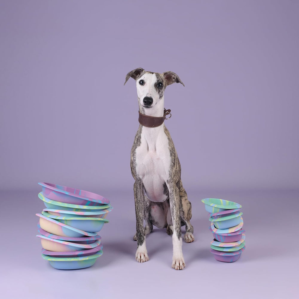 CHEWFFON lick mat bowl suitable for dogs and cats of all sizes.