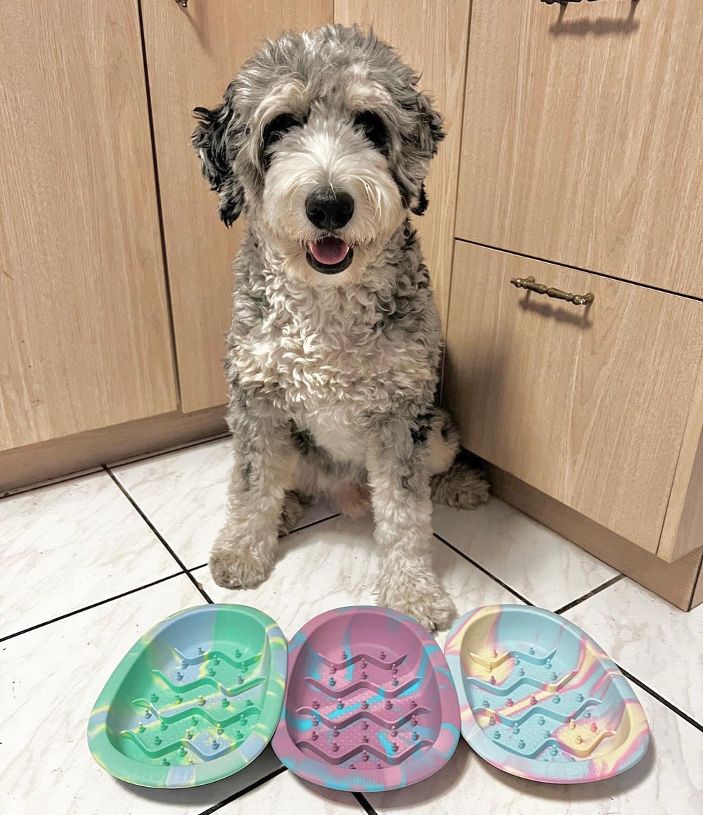 CHEWFFON lick mat bowl green color option complements any feeding area.
