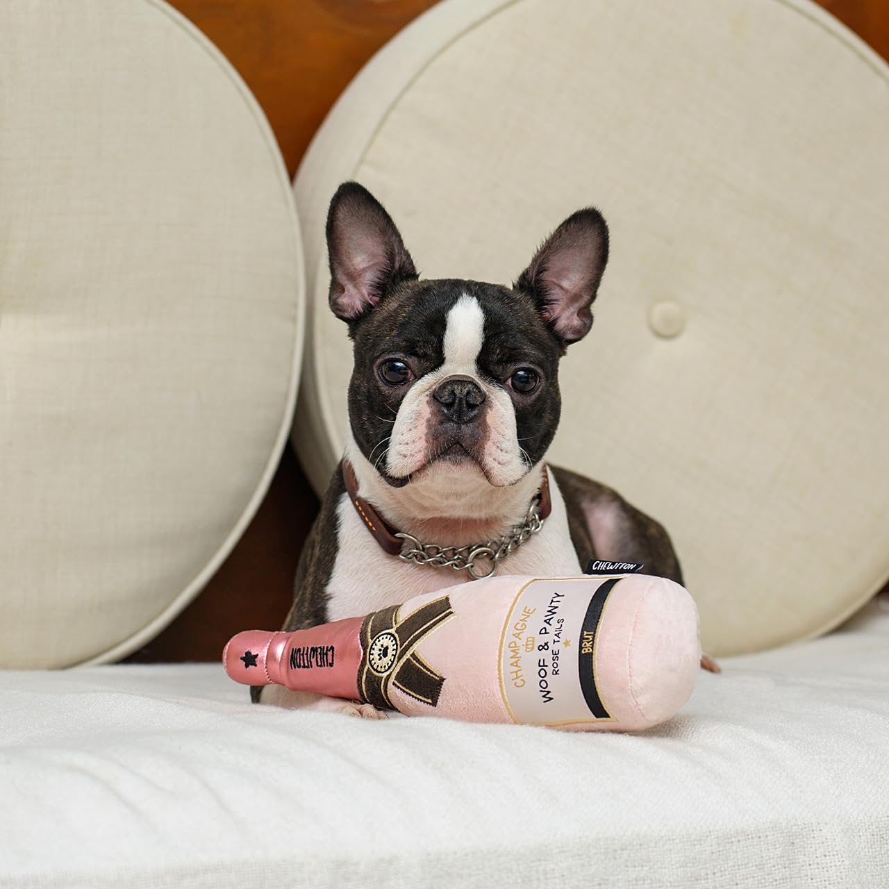 CHEWFFON regalo ideal para fiestas y cumpleaños de mascotas.