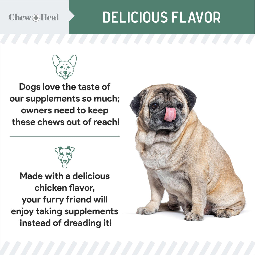 Chewheal Labs dog outdoors with chews nearby suggesting improved mobility