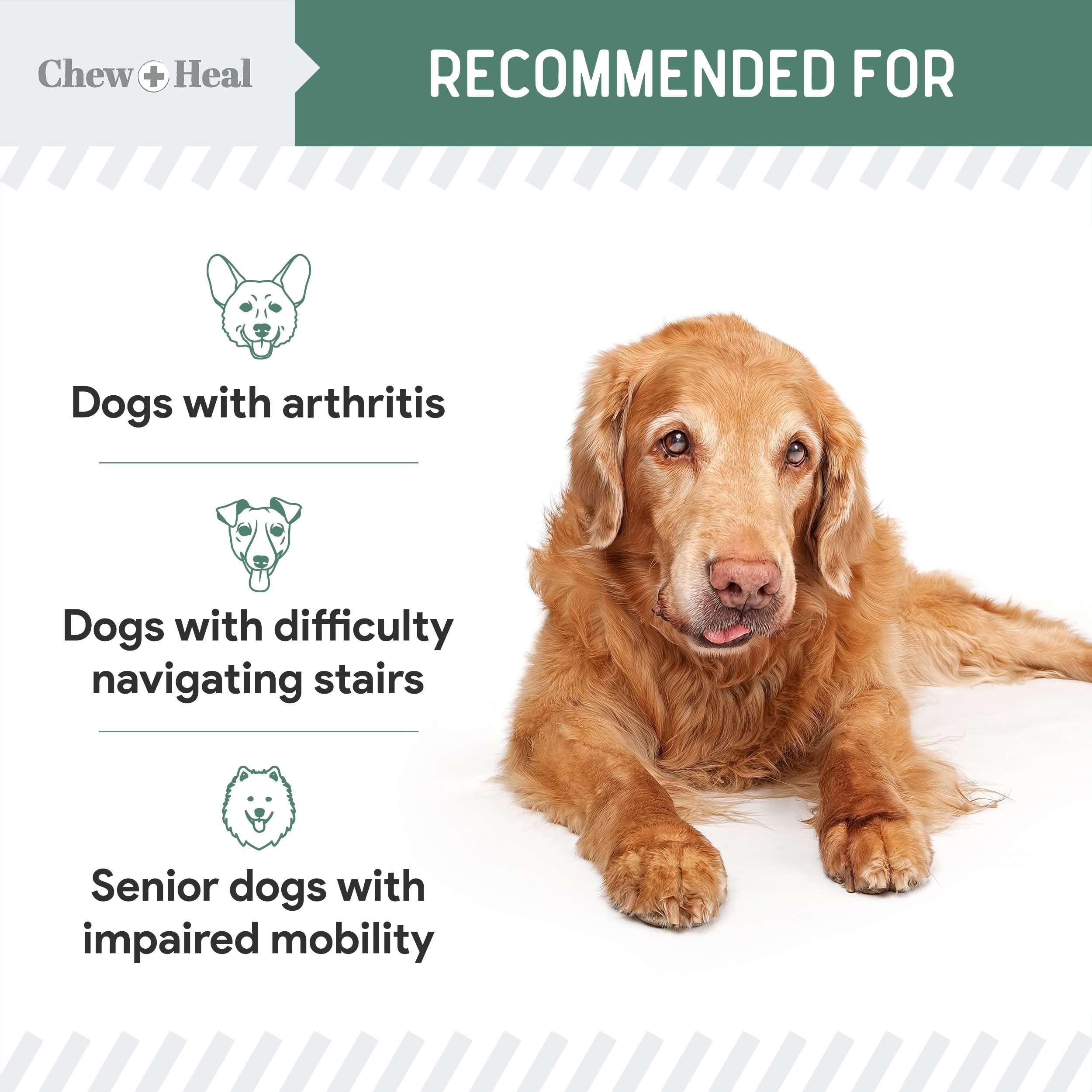 Chewheal Labs glucosamine MSM chondroitin supplement bottle label highlights key joint-support ingredients