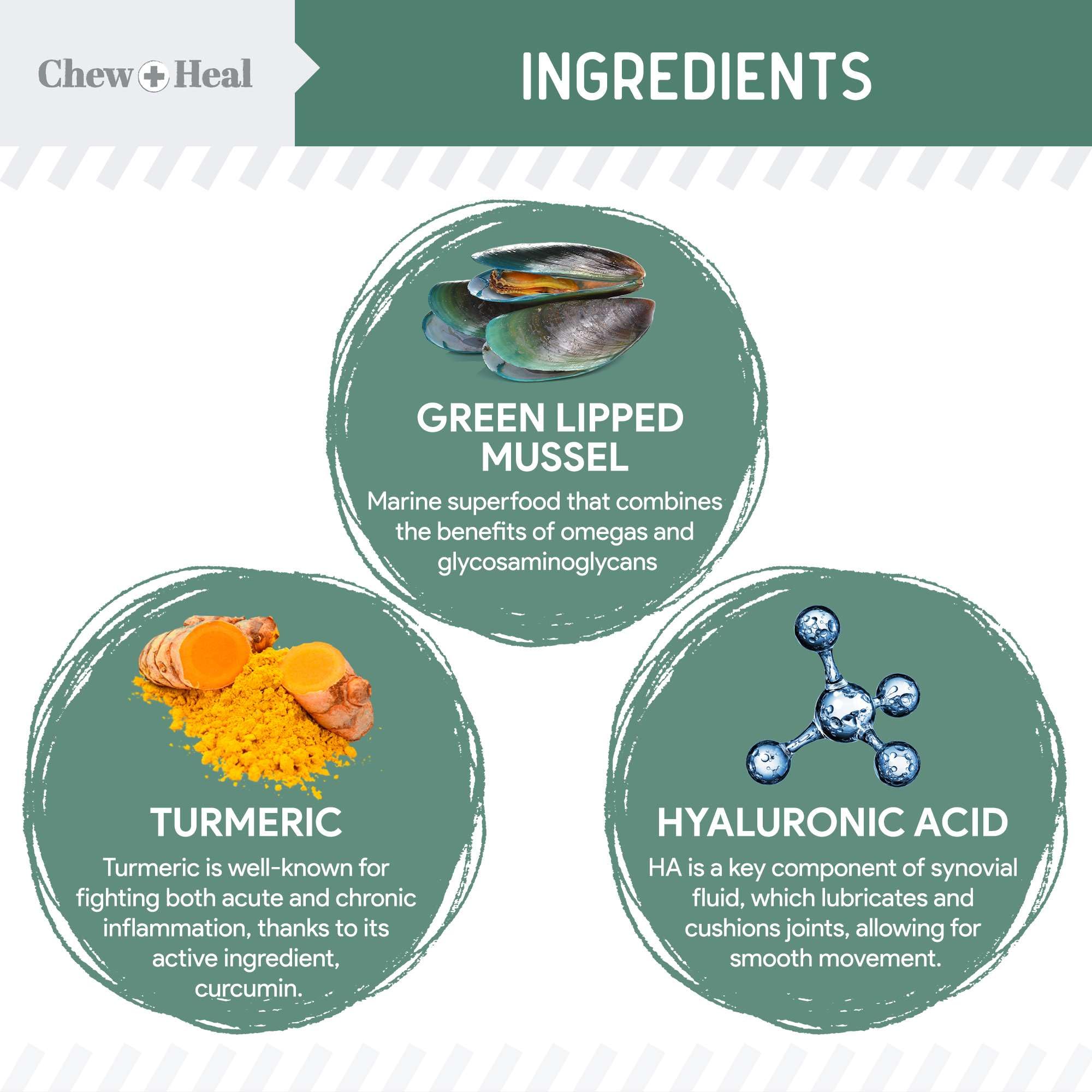 Chewheal Labs green-lipped mussels ingredient close-up for natural joint support