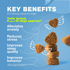 CHEWIA hemp-seed oil ingredient visual showcases holistic mood support