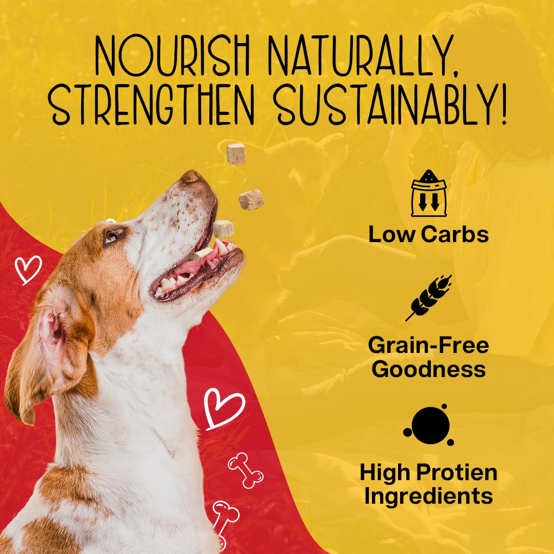 Grain-free Chewmasters beef liver bites suit sensitive stomachs.