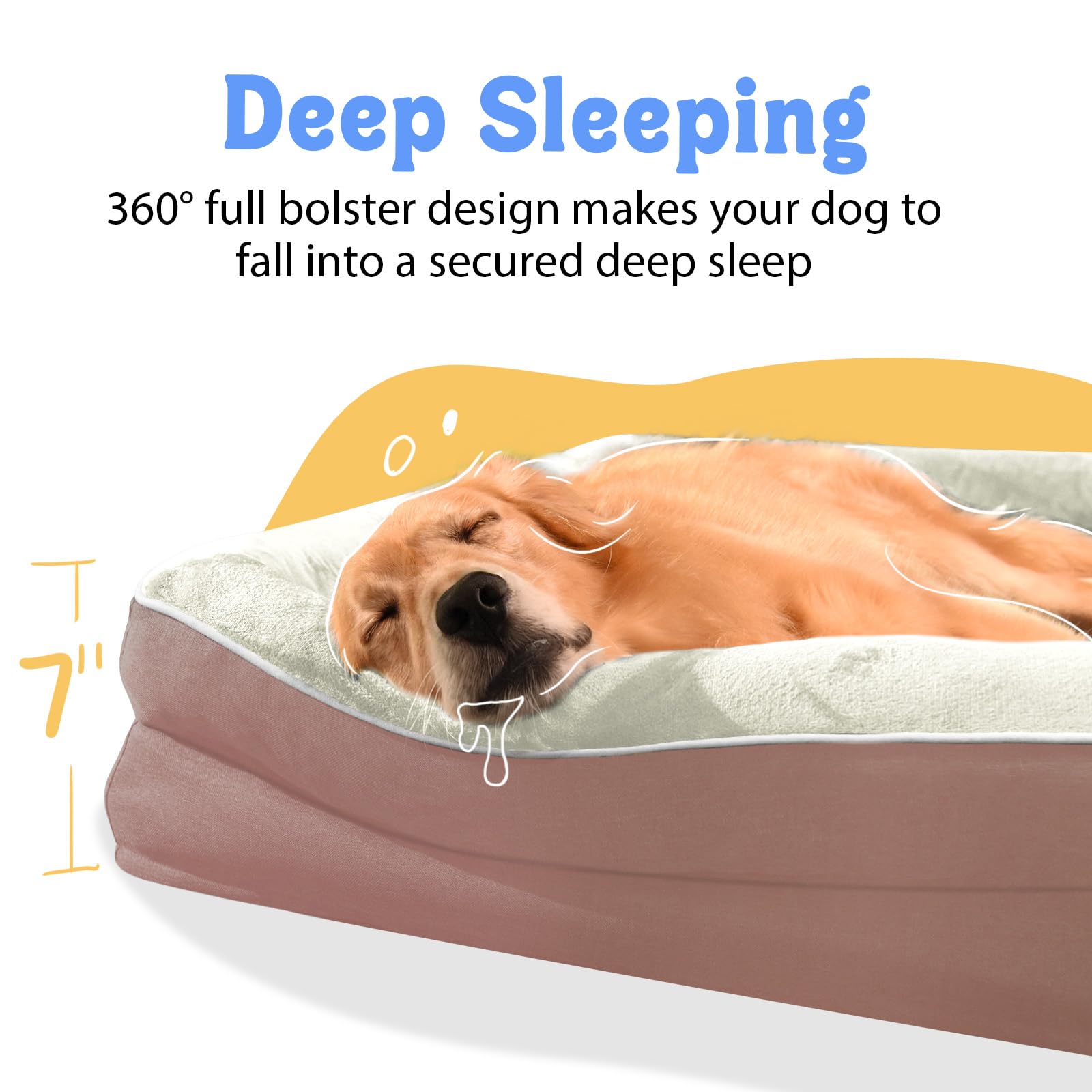 Chez Paw orthopedic bed removable washable cover demonstrates easy cleaning and freshening.