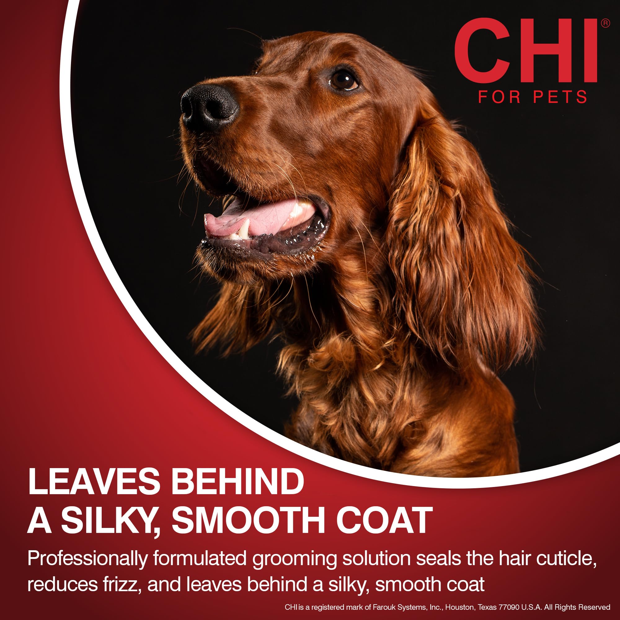 Shiny silky coat after wash with CHI for Dogs Deep Moisture Shampoo.