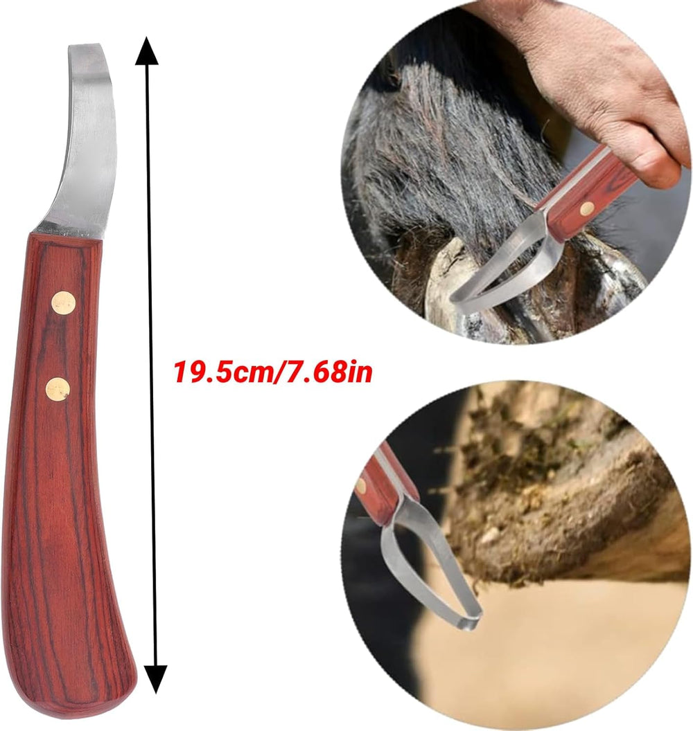 CHICIRIS stainless blade close up highlighting sharpness and durability.