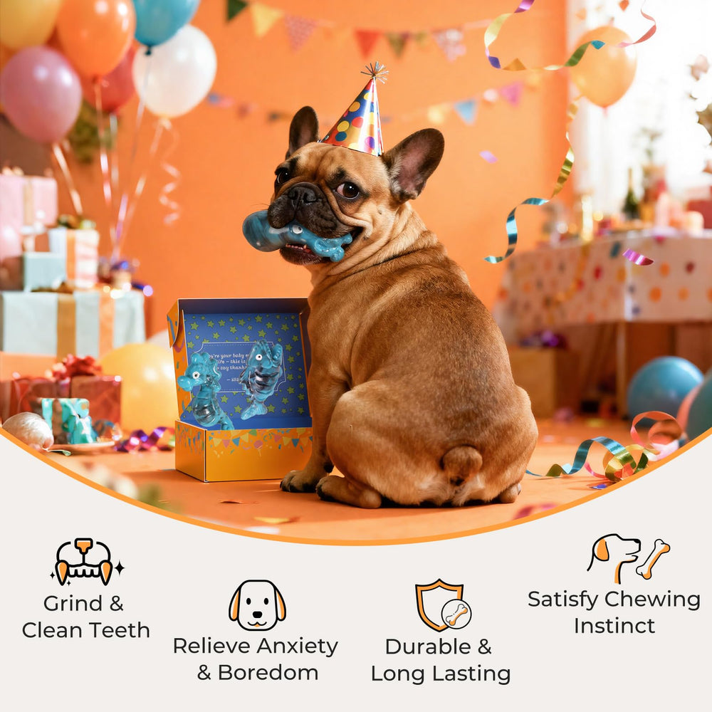 Juguete de regalo ChienBox con tres juguetes para perros, ideal para celebraciones.