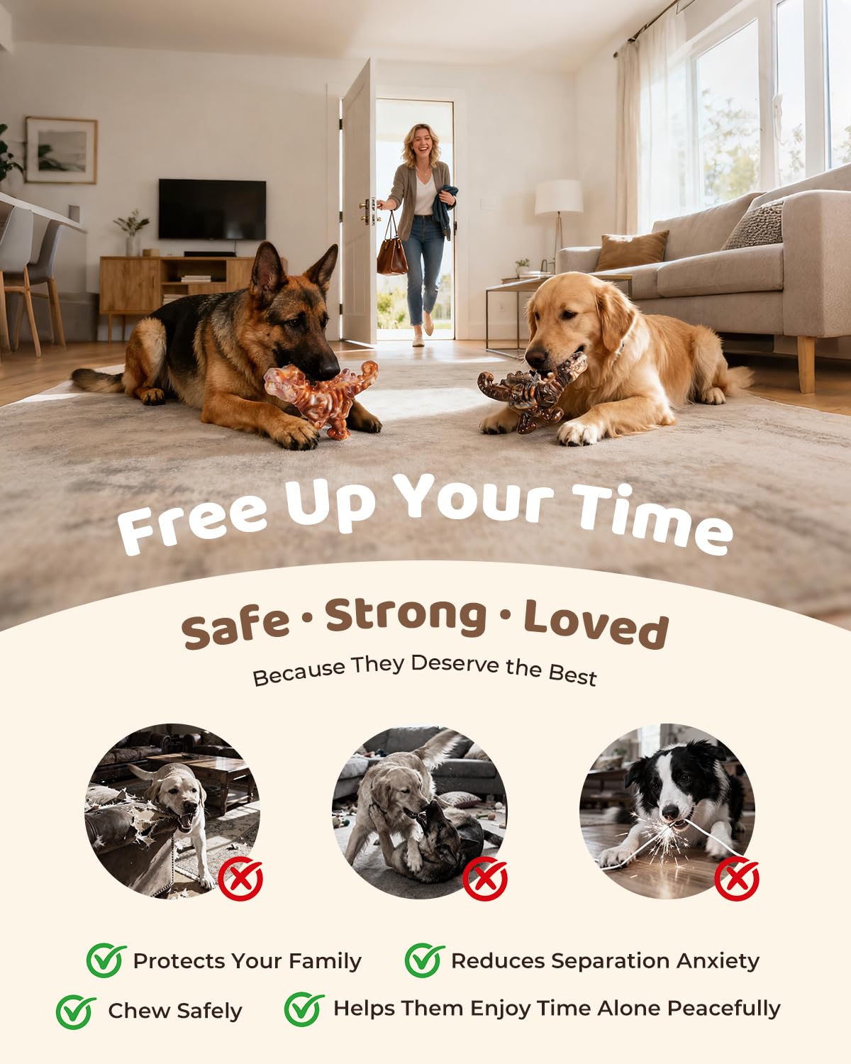 ChienBox durable large-dog toy pack for daily power chewers.