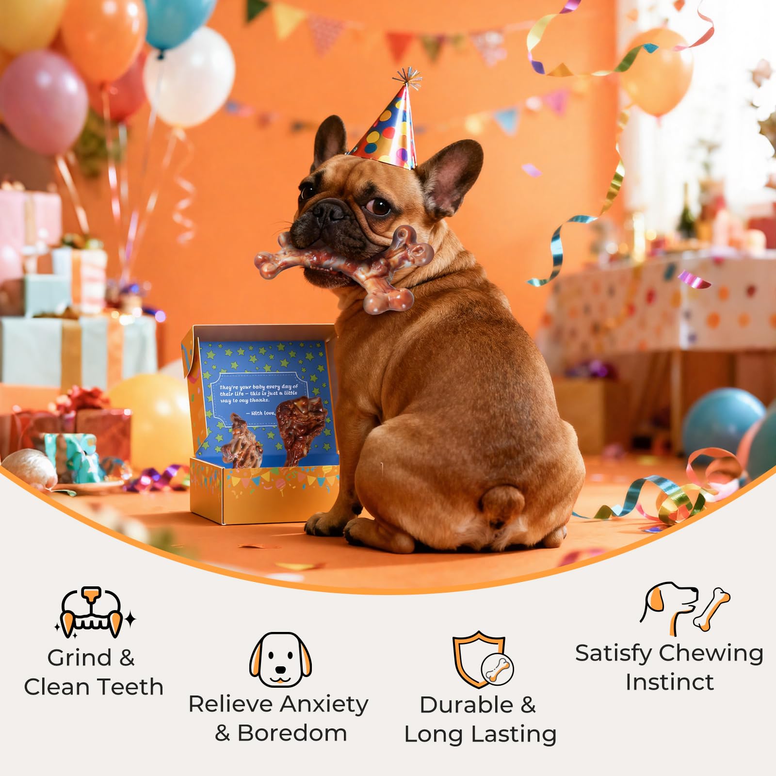 ChienBox hueso masticable, forma fácil de recoger durante paseos.