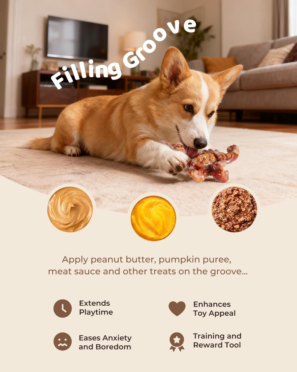 ChienBox textured nylon dental-care toy for cleaner chewing sessions.