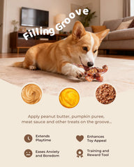 ChienBox textured nylon dental-care toy for cleaner chewing sessions.