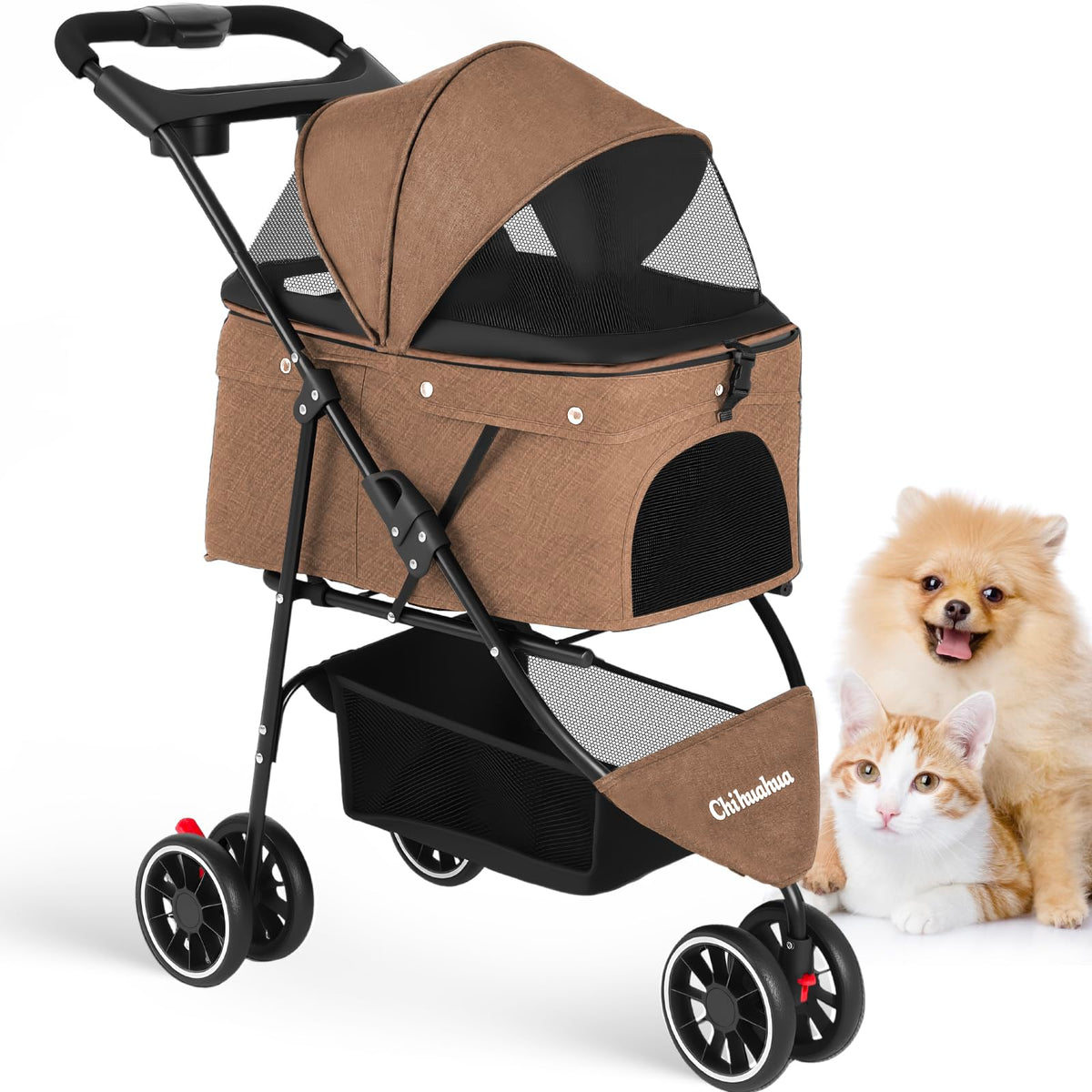 Chihuahua pet stroller front view with 3 wheels for smooth, safe outings