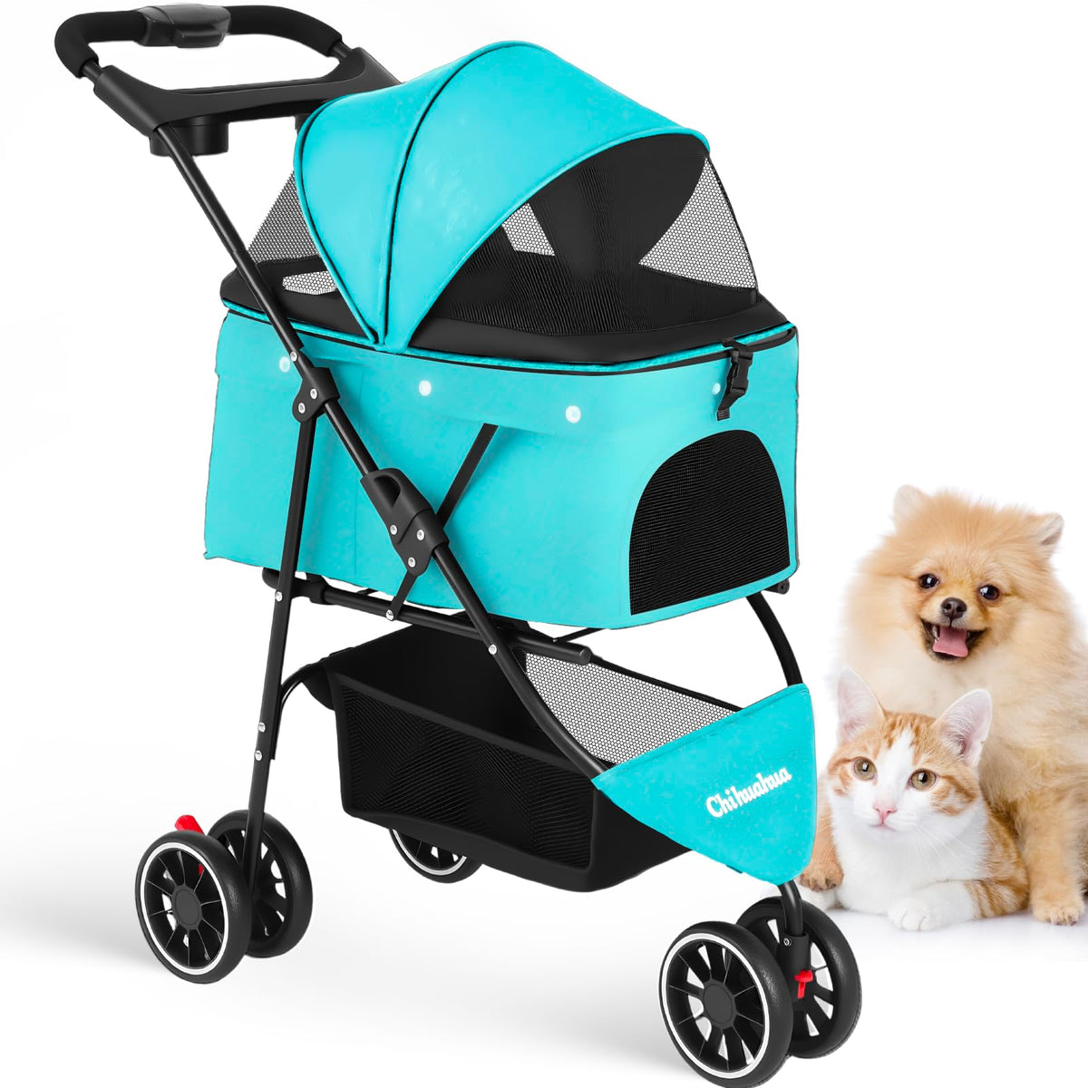 Chihuahua pet stroller front view in mint green offers comfortable on-the-go outings.