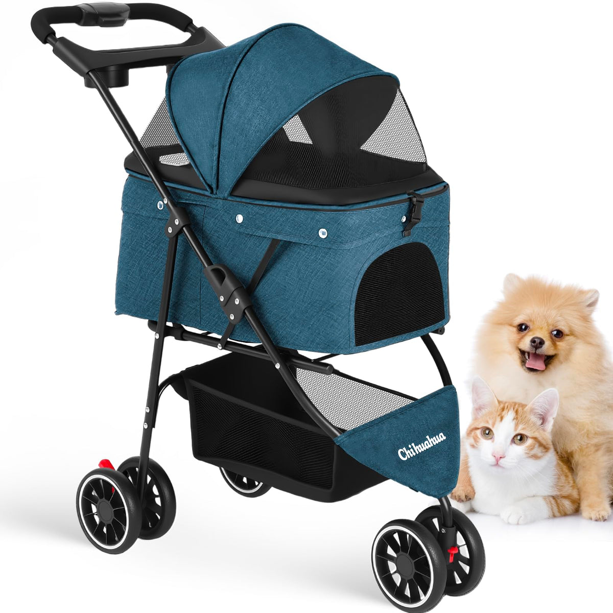 Chihuahua pet stroller front view shows safe transport for small pets