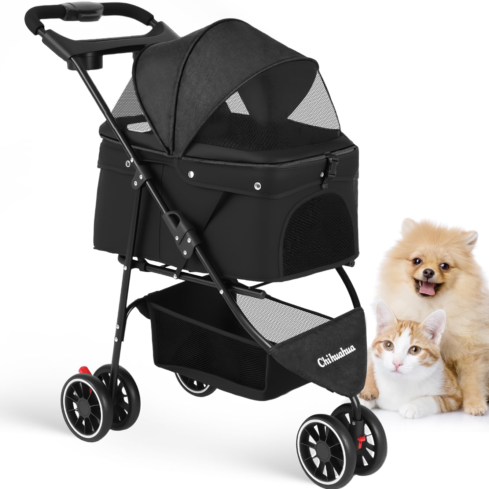 Chihuahua pet stroller front view shows sturdy frame and secure dual straps for safety.