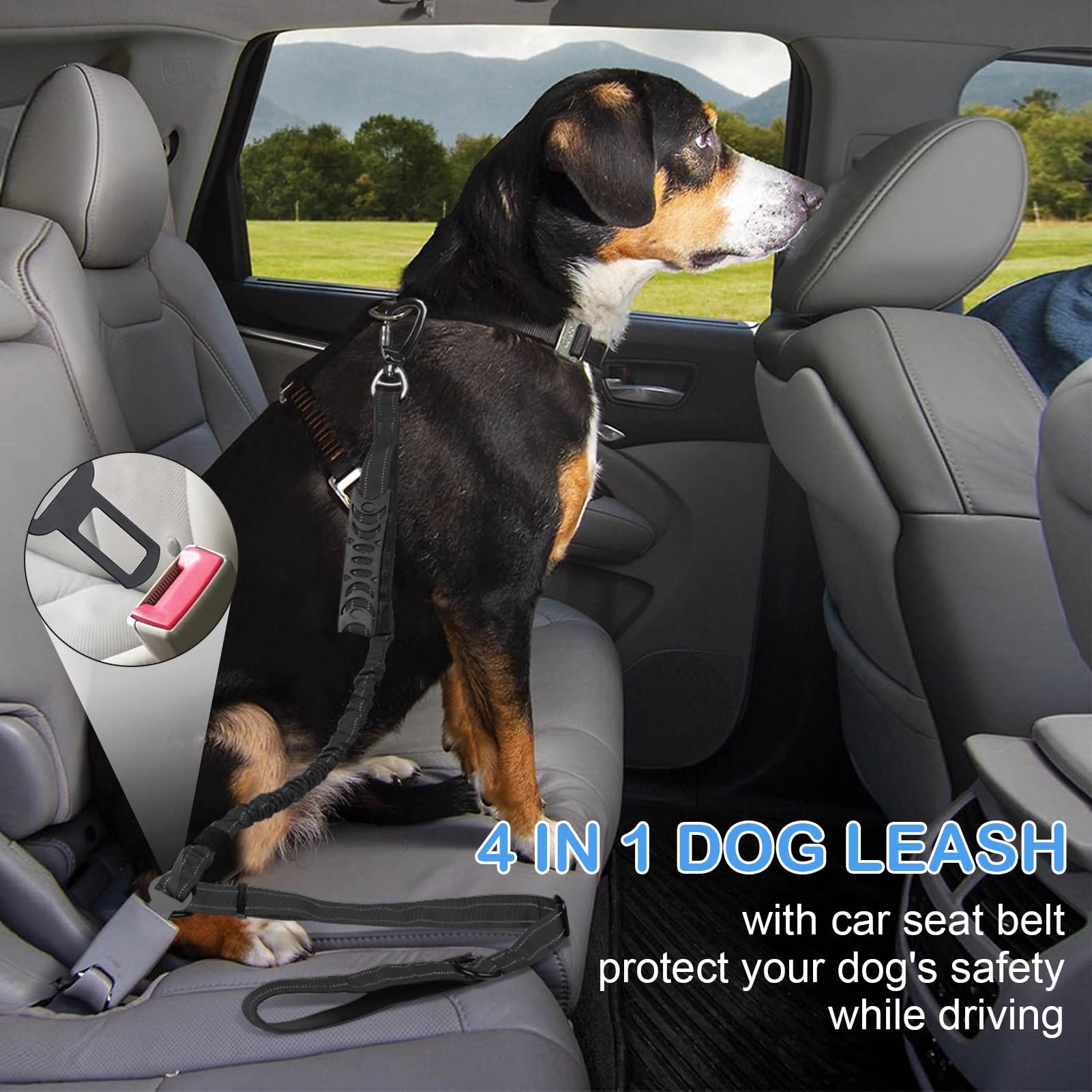 Chioratree reflective night safety leash shines in low light for safer walks.