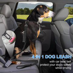 Chioratree reflective night safety leash shines in low light for safer walks.