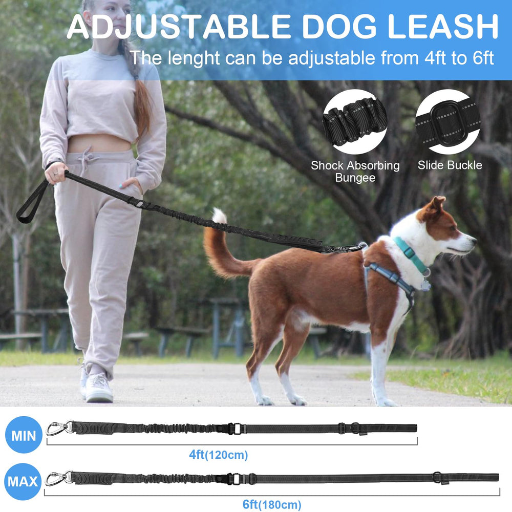 Chioratree seatbelt-buckle leash keeps dogs secure during car trips.