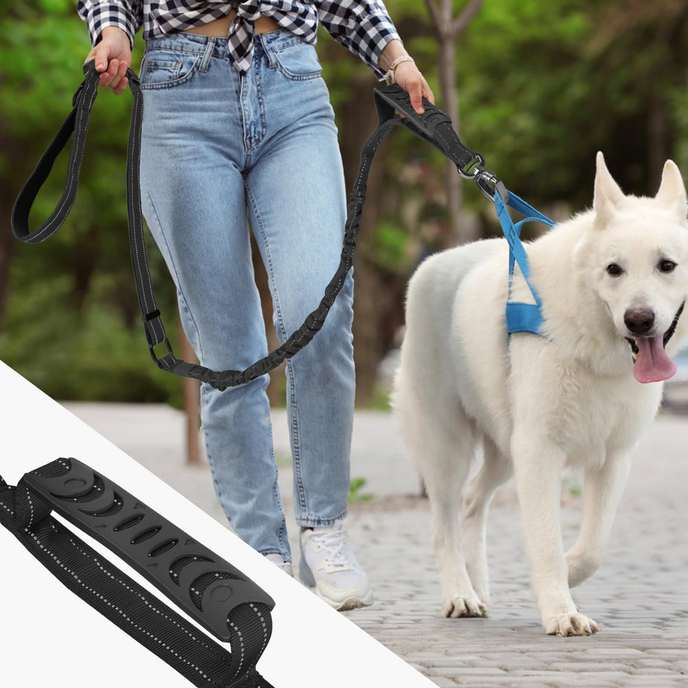Chioratree heavy-duty for large-dogs leash supports strong control on rugged terrain.