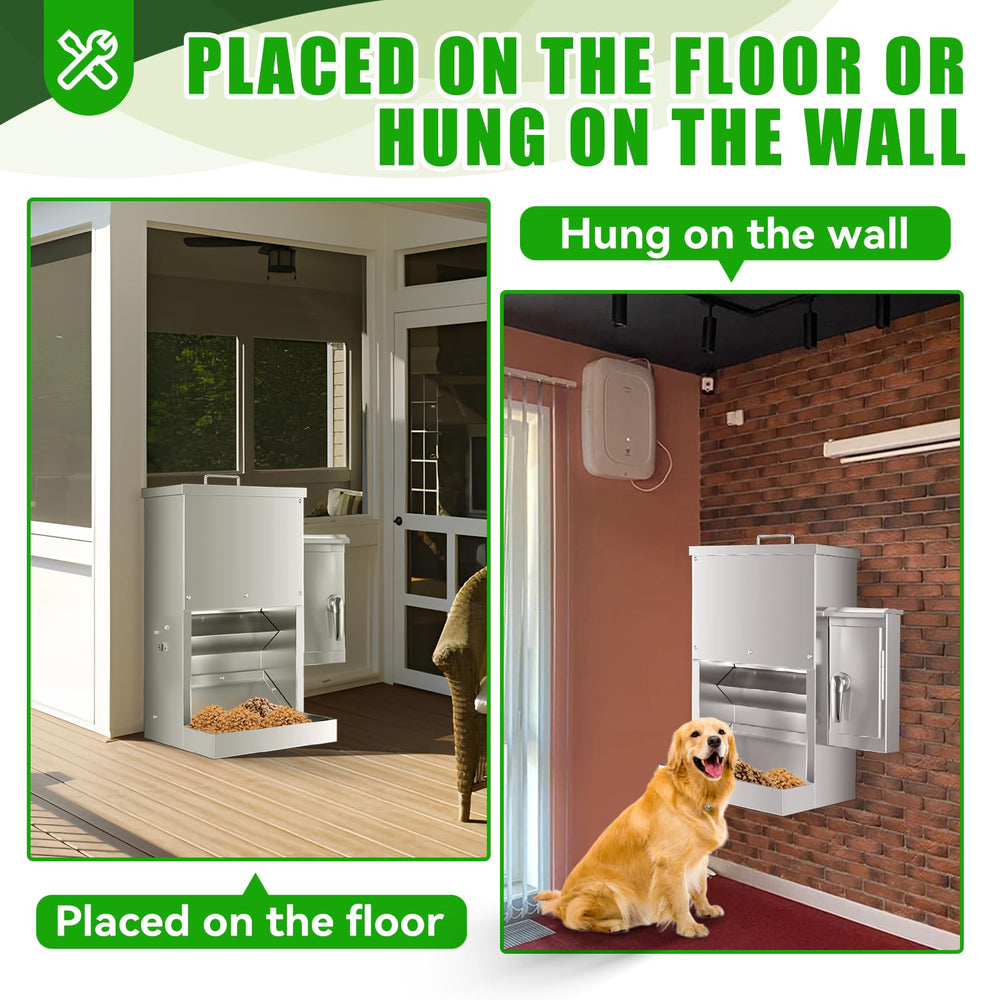 Chipak feeder in use with a large dog and a cat at mealtime