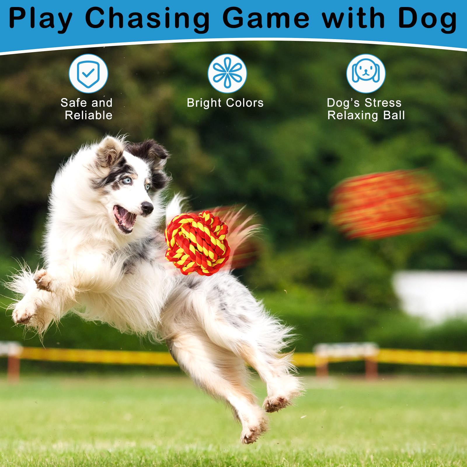 Bright color variety of Chitidr rope balls to attract dogs to play.
