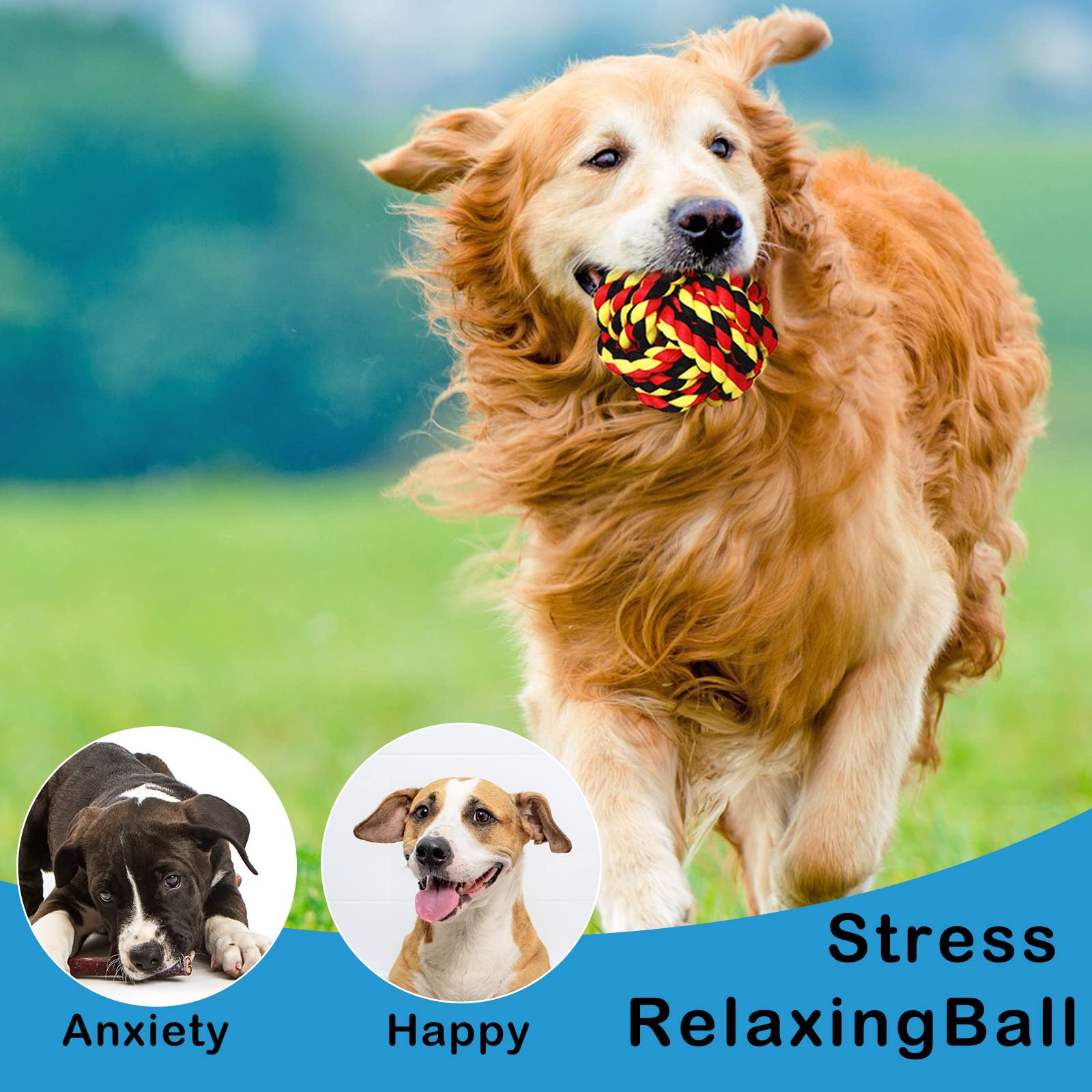 Dog holds a Chitidr rope ball with a 55mm diameter for small to medium dogs.