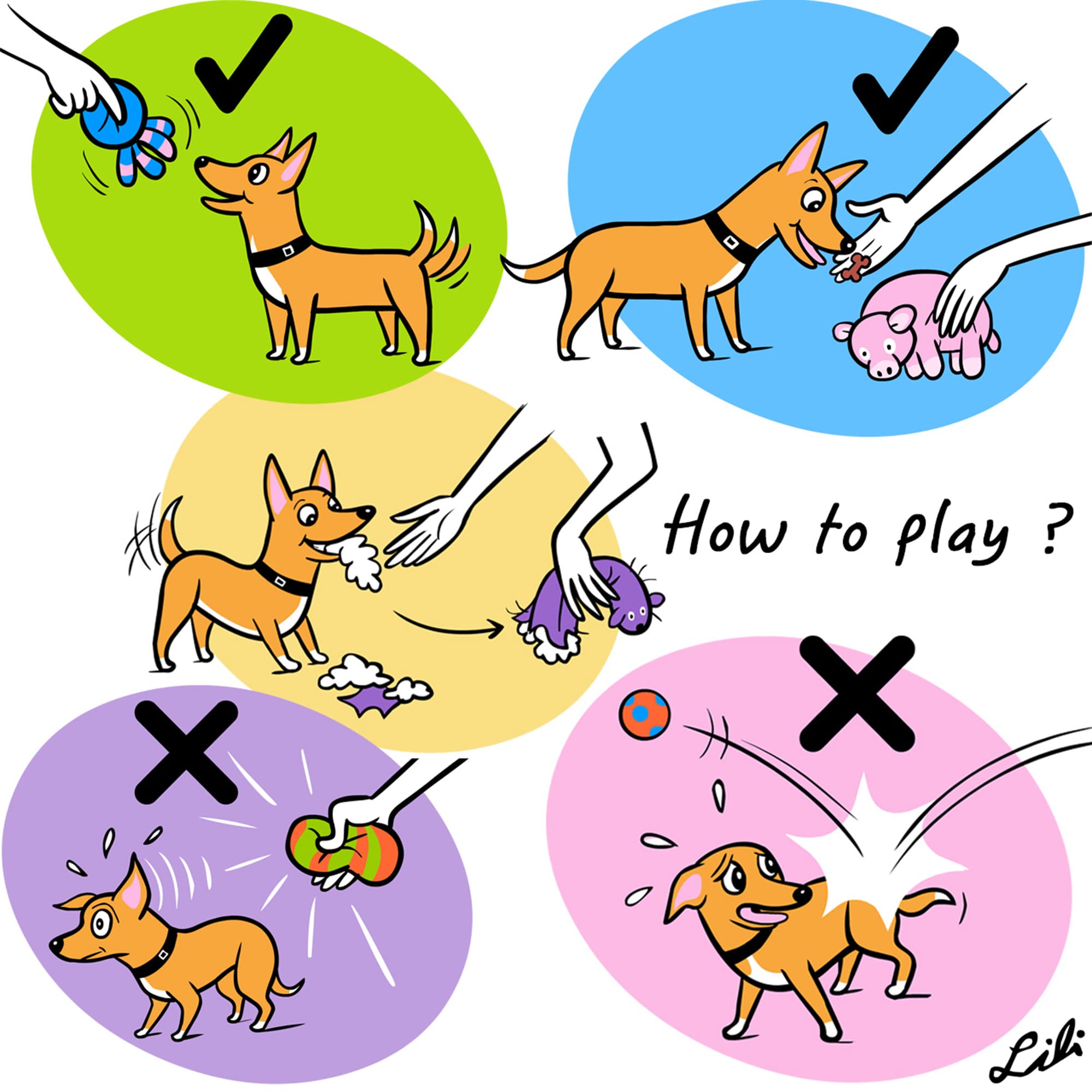 CHIWAVA juguete látex con sonido para juego interactivo de perros.