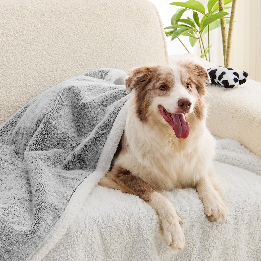 ChiXnuggle dog blanket sherpa-back texture for extra warmth.