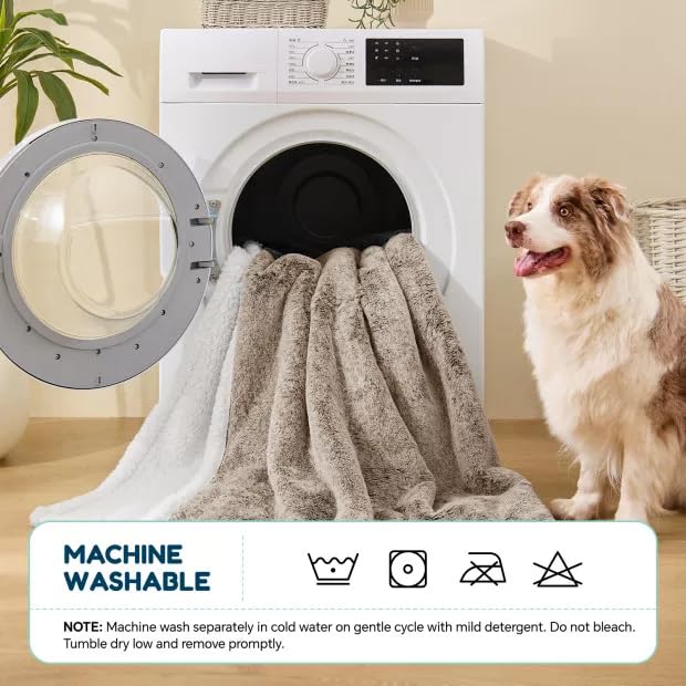 ChiXnuggle extra-large dog blanket 60x80 fits large dogs comfortably