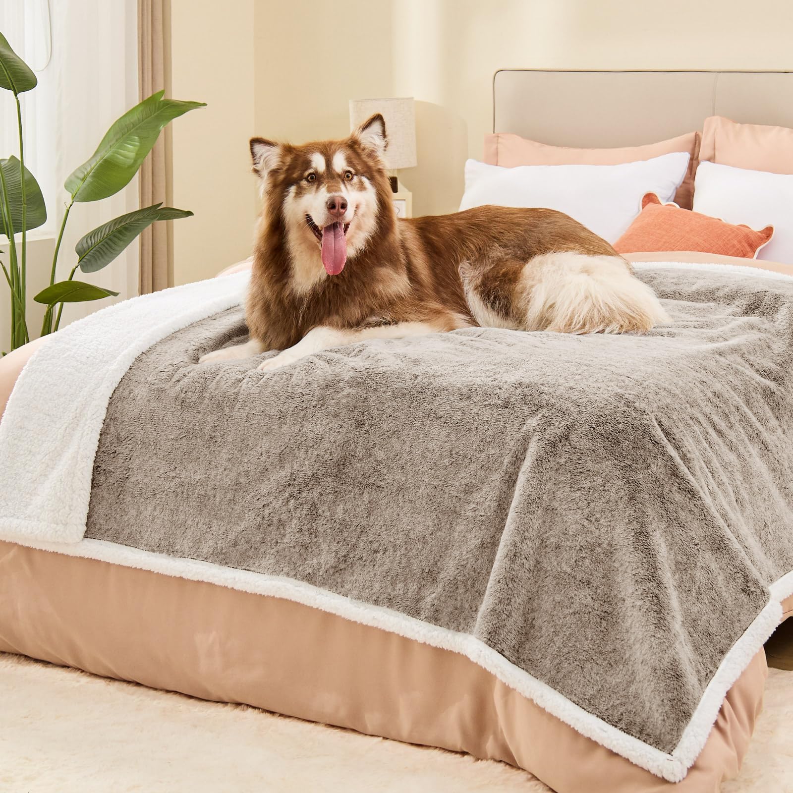 ChiXnuggle extra-large dog blanket back sherpa provides cozy layering for bedtimes