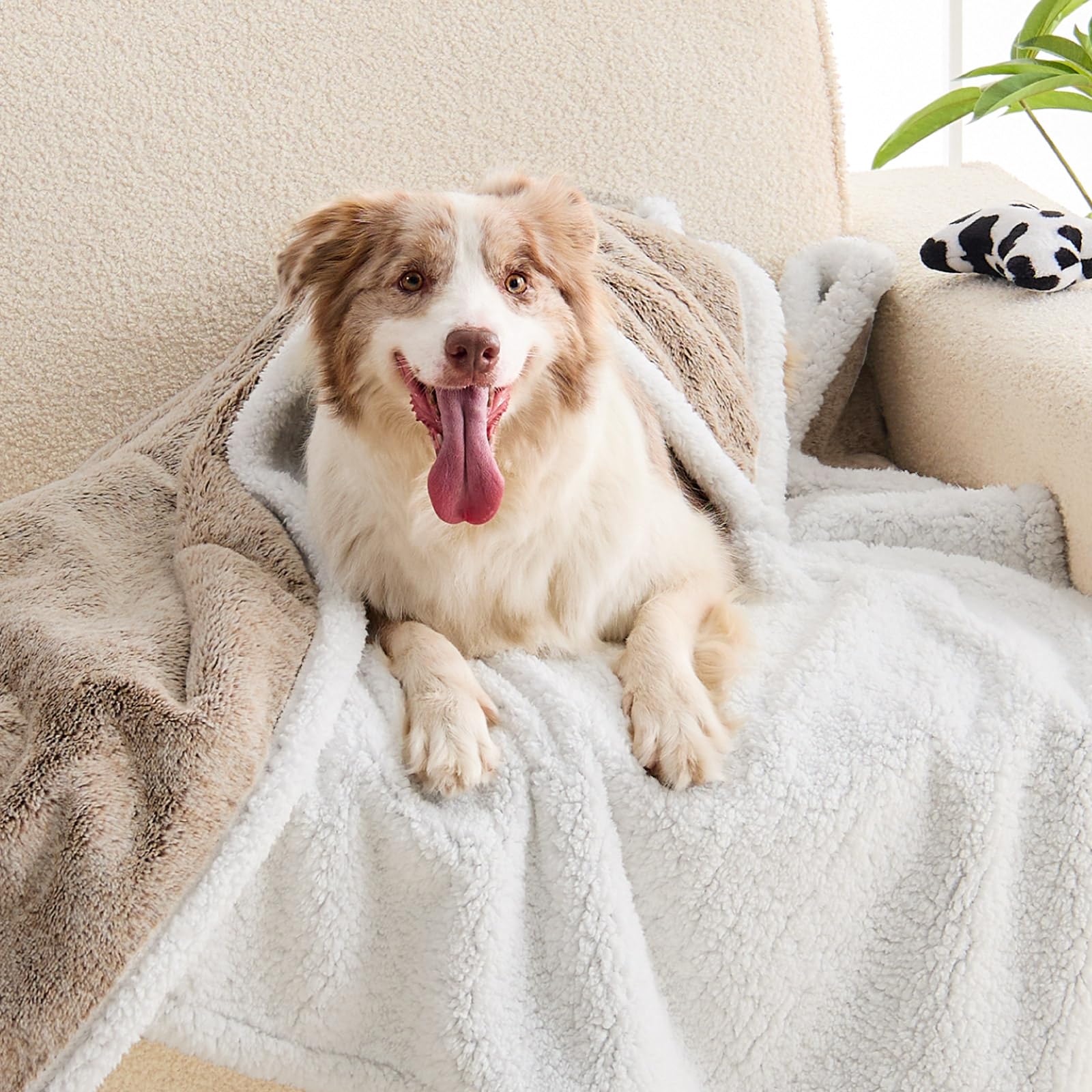 ChiXnuggle extra-large dog blanket durable waterproof design resists messes
