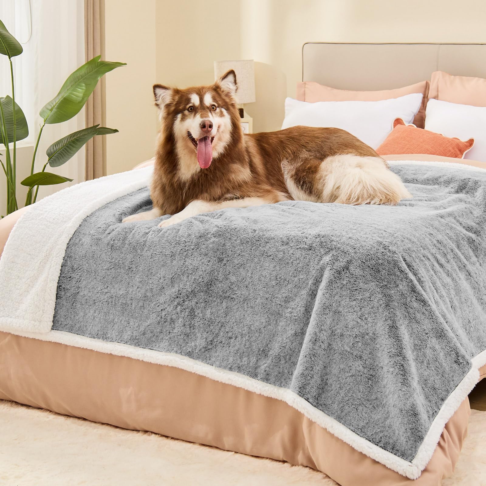 ChiXnuggle extra-large blanket back view highlights sherpa warmth