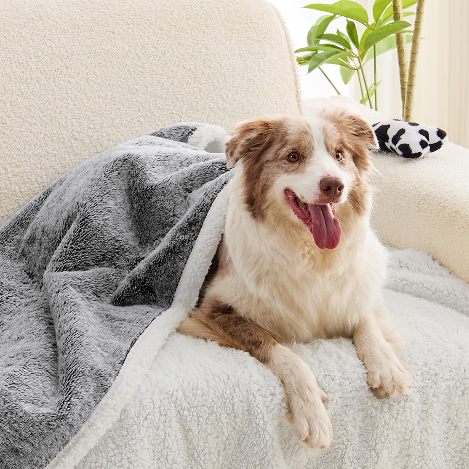 ChiXnuggle reversible faux fur front sherpa back with two cozy textures for pets