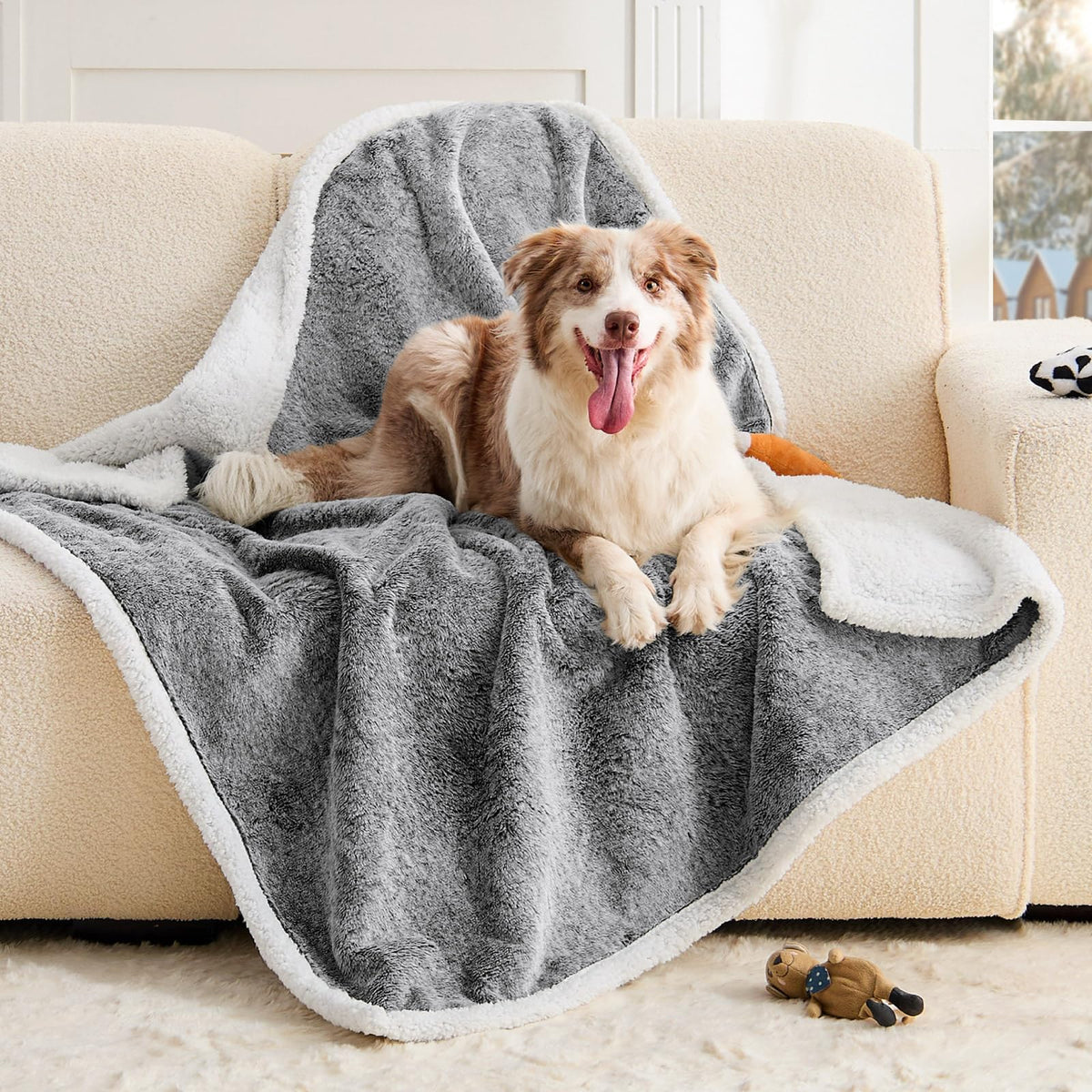 ChiXnuggle waterproof dog blanket on sofa protects upholstery from spills and hair