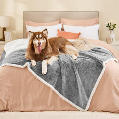 ChiXnuggle XL dog blanket front view shows luxe faux fur for cozy naps.