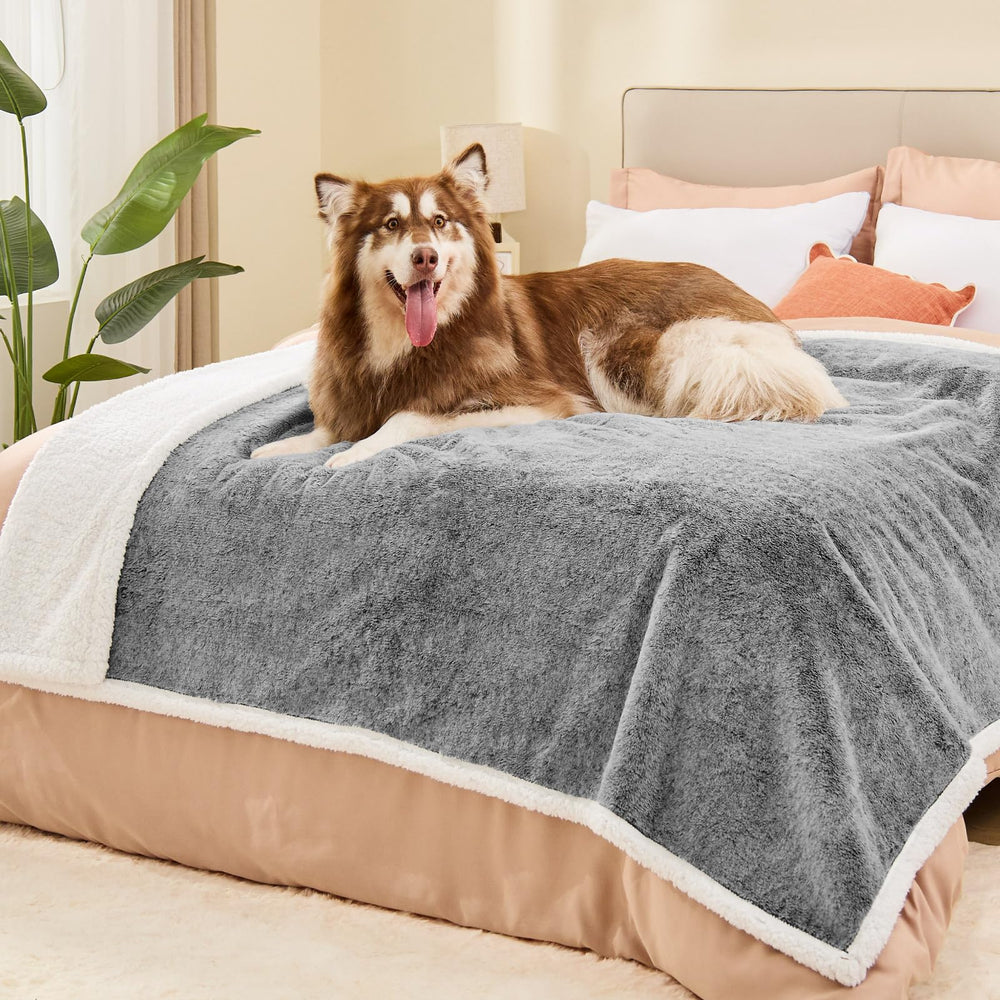 ChiXnuggle XL dog blanket reversible sherpa back for year-round warmth.