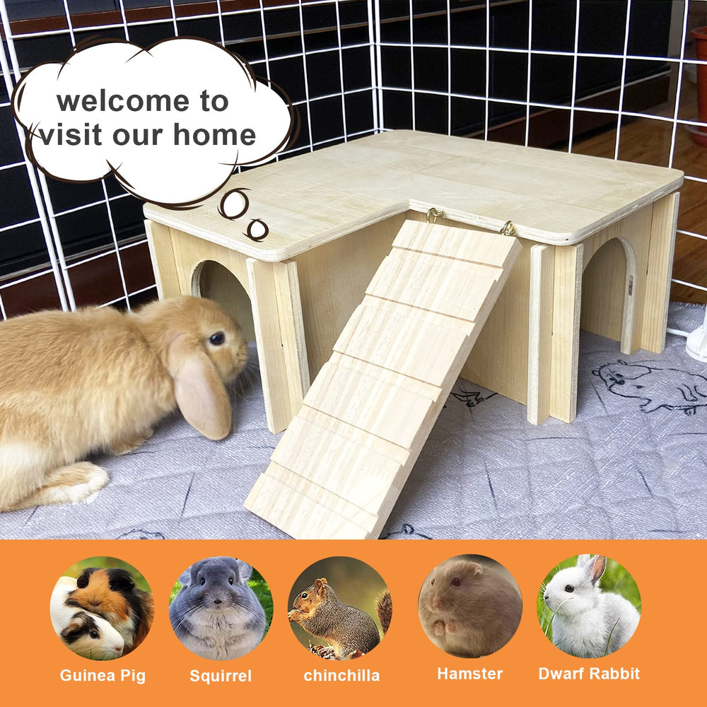 Chngeary Guinea Pig Hideout dimensions 11.8 x 11.8 x 6.41 in — compact.