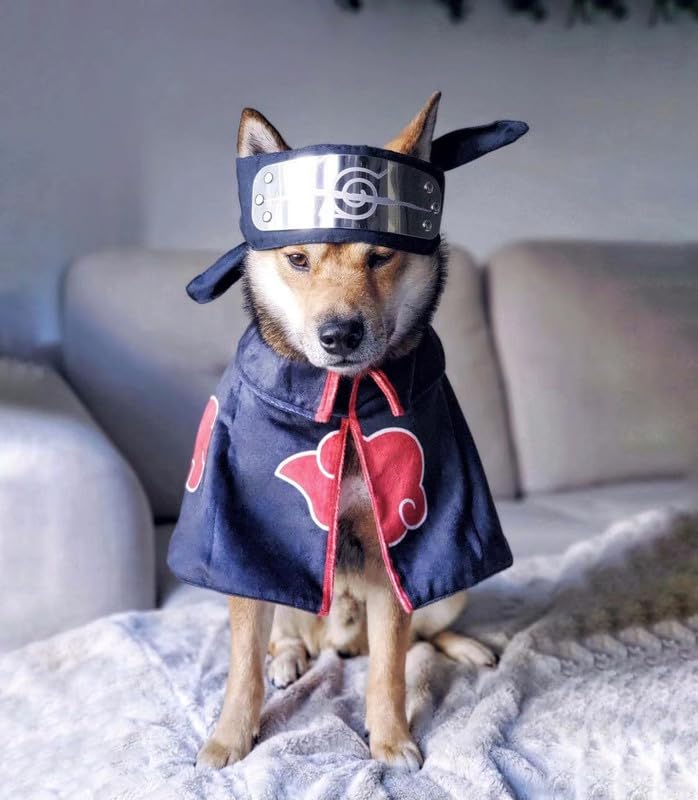 ChoChoCho cloak with adjustable neck Velcro closure enabling easy on-off for pets.