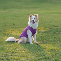 Chol&Vivi dog shirt cotton soft detail closeup showcases gentle texture against skin.