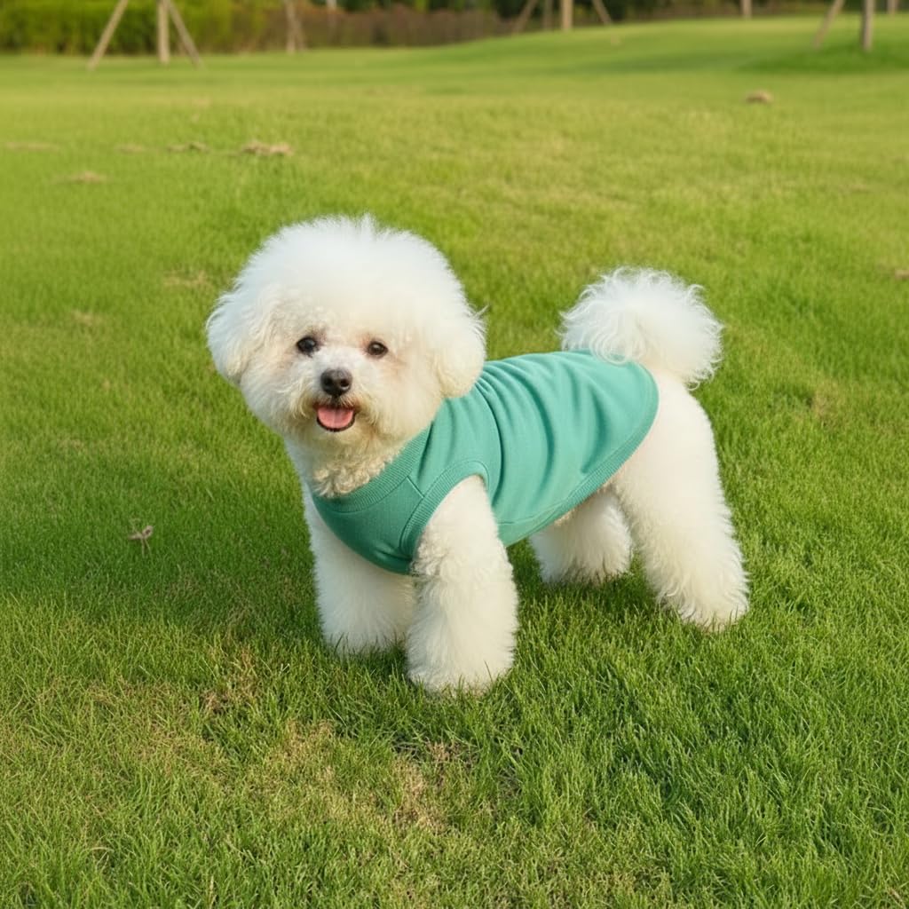 Chol&Vivi green dog shirt highlights easy-care and comfy fit.