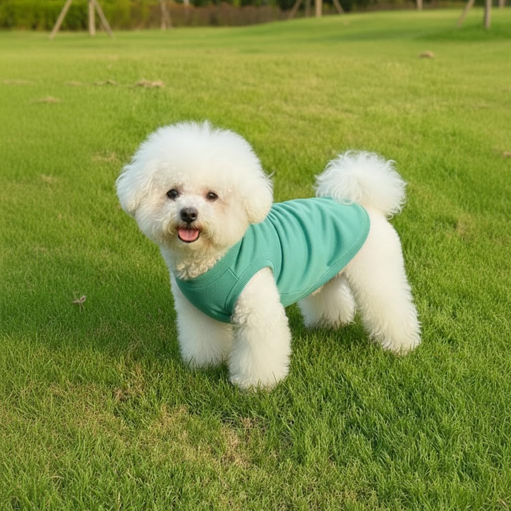 Chol&Vivi green dog shirt highlights easy-care and comfy fit.