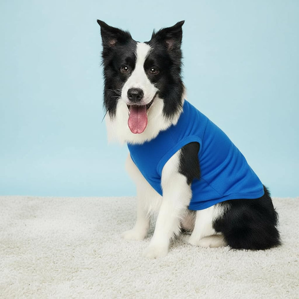 Chol&Vivi dog shirt purple XXX-Large back view highlights lightweight comfort for all activities.