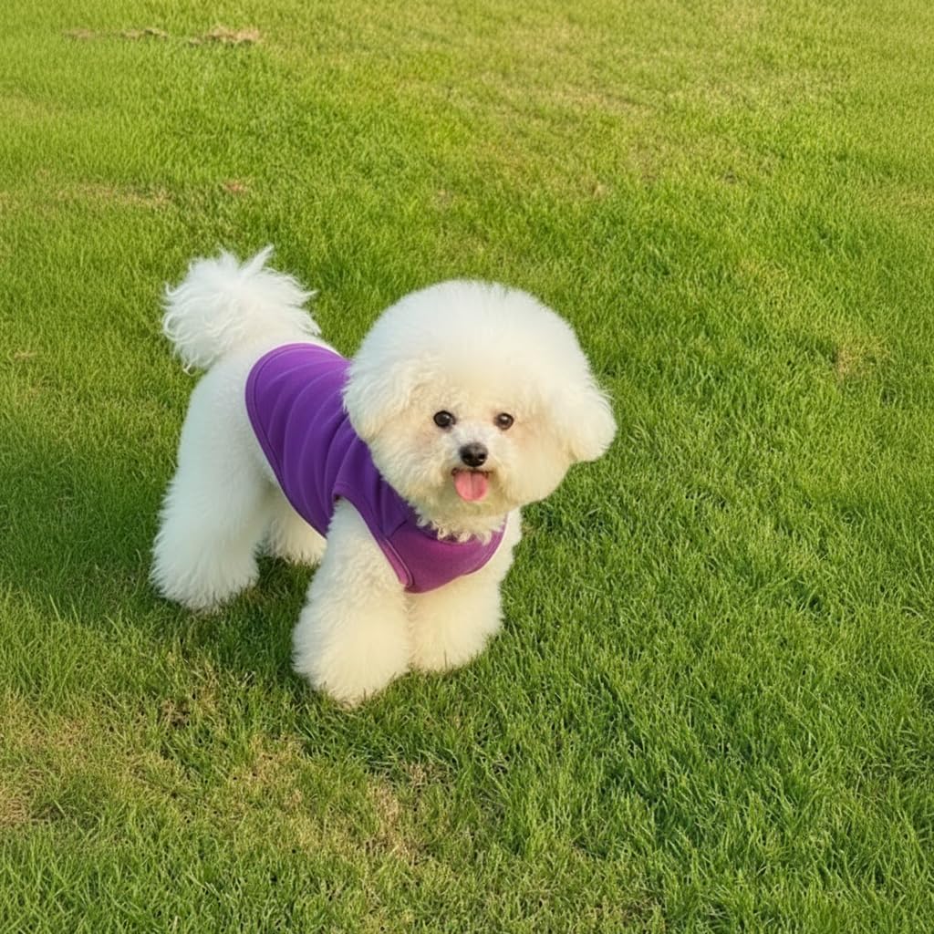 Chol&Vivi dog shirt stretchy-fit closeup illustrates secure, comfortable wear during play.