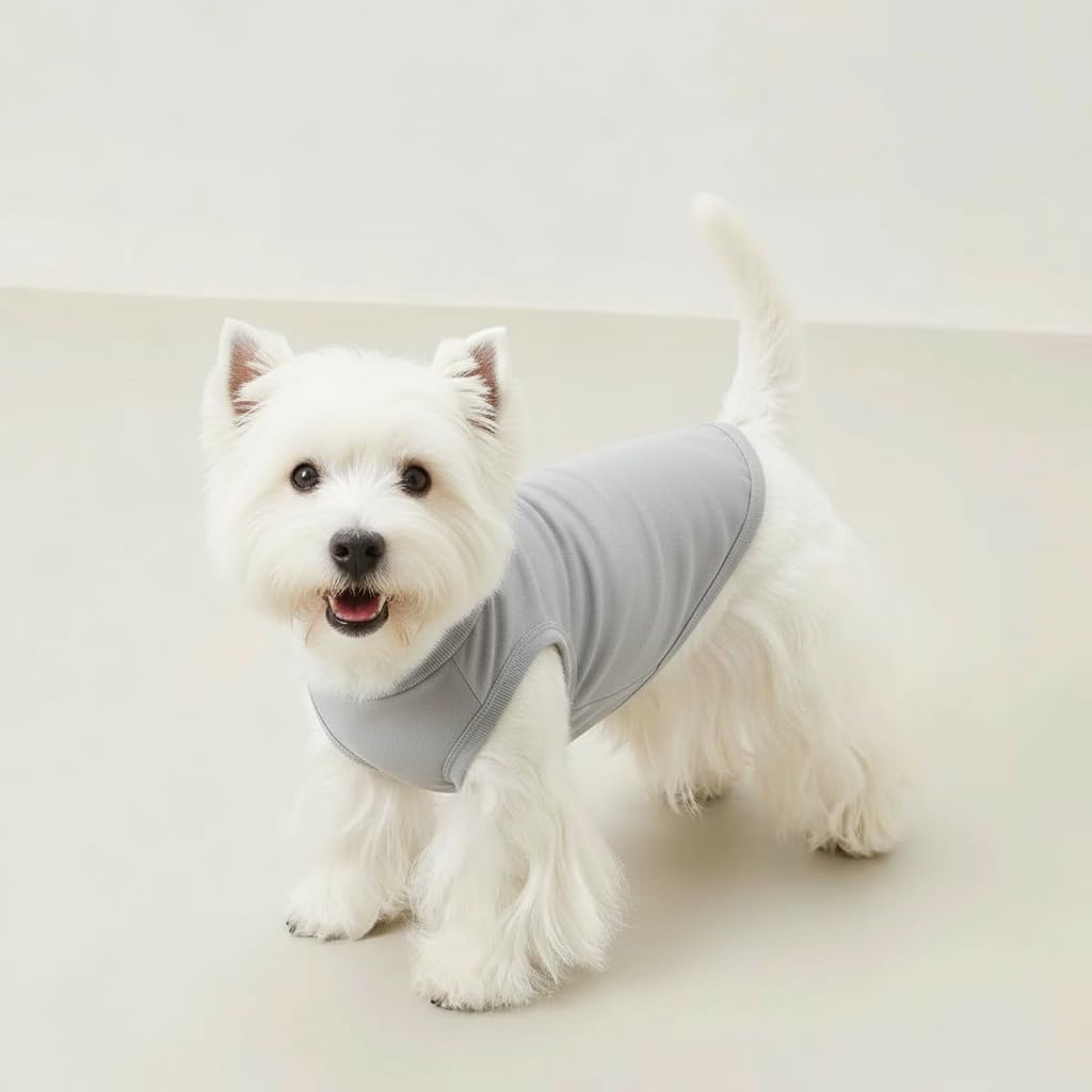 Chol&Vivi dog shirt worn by a dog demonstrates versatile daily wear