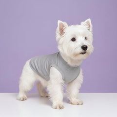 Chol&Vivi dog shirts back view emphasizes lightweight cotton blend and easy wear.