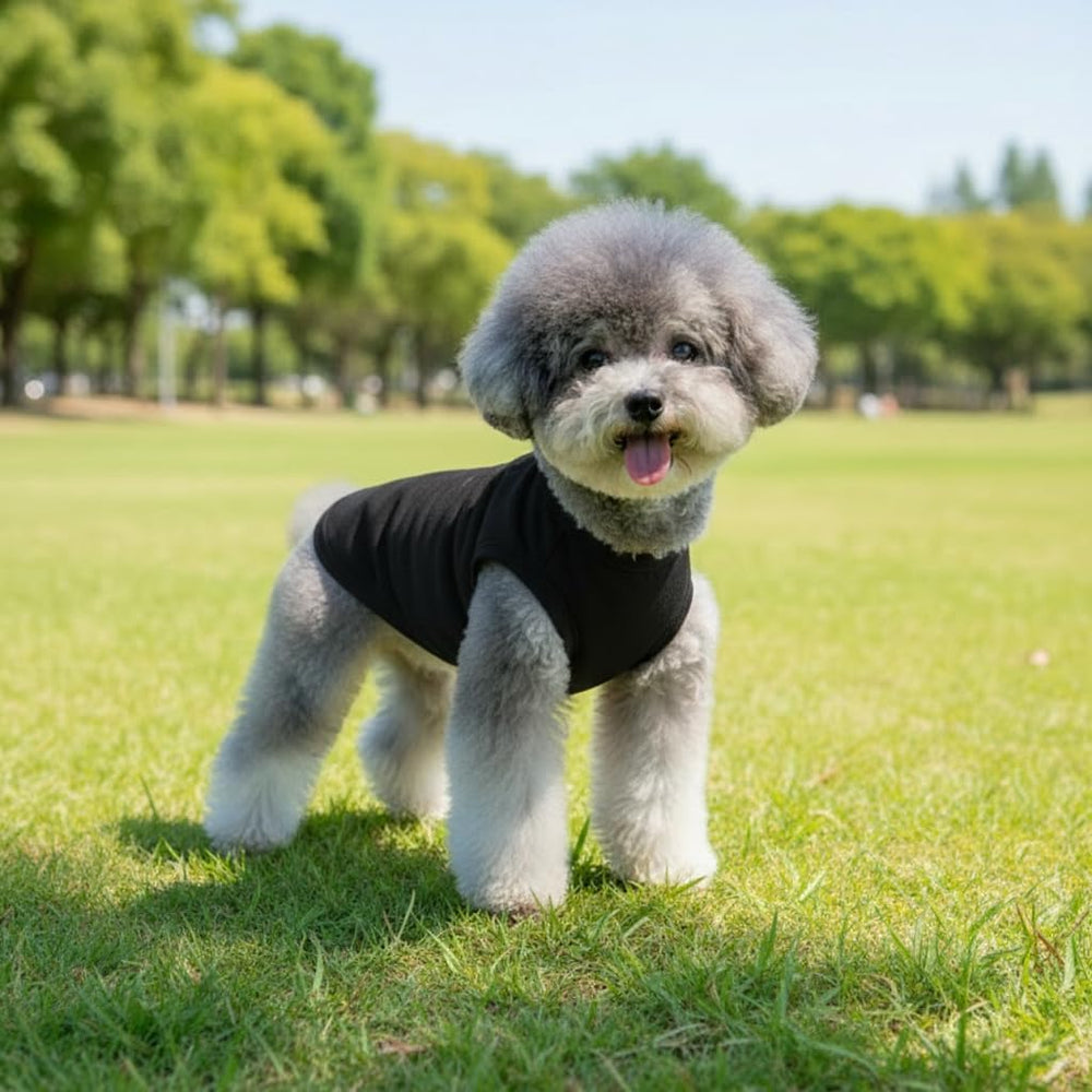 Cholvivi dog shirts stitching closeup shows durable seams for active pets